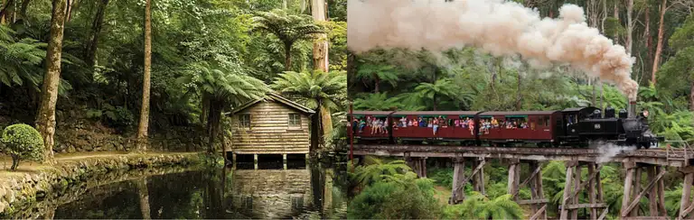 Melbourne to the Dandenong Ranges