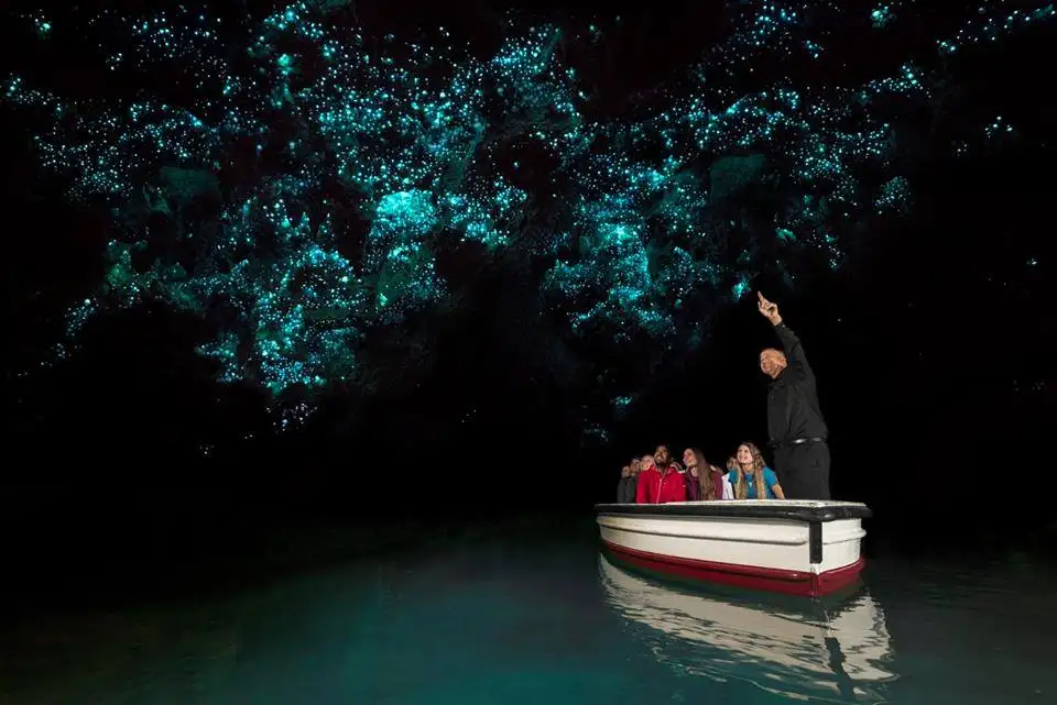 waitomo caves in the rain