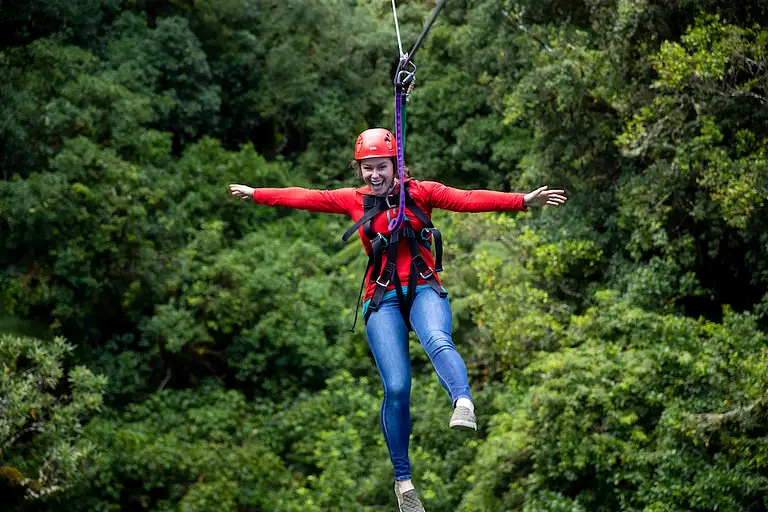 forest walk rotorua discount