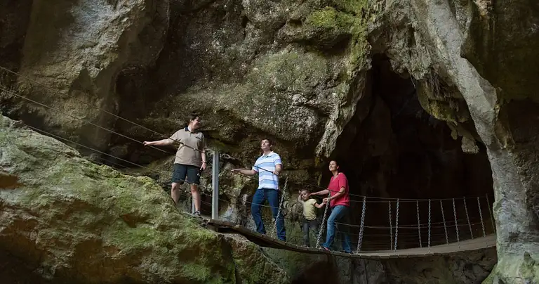 Cathedral Cave Tour – Capricorn Caves Deals