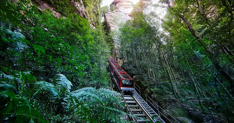Blue Mountains all-inclusive day tour
