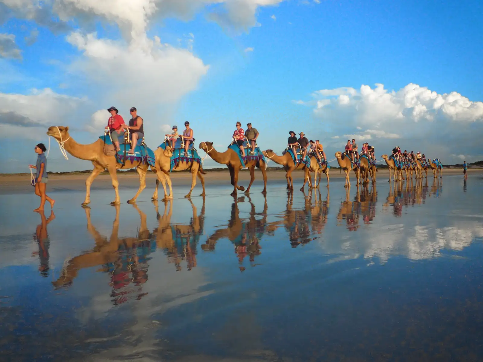 Camel tours Broome