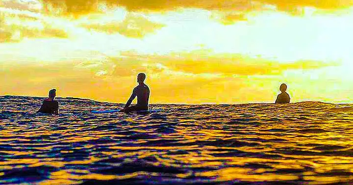 Oahu Sunset glass bottom boat Cruise