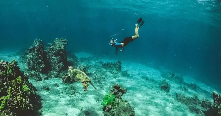 Nguthungulli Julian Rocks snorkelling tour
