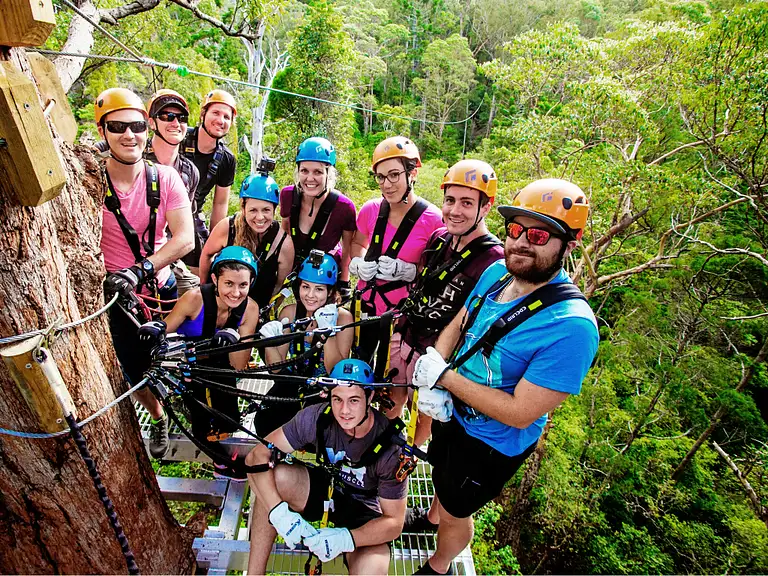 Canyon Flyer Mount Tambourine Specials