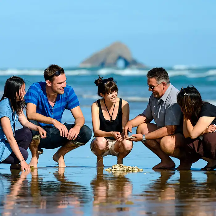 Cape Reinga New Zealand beach