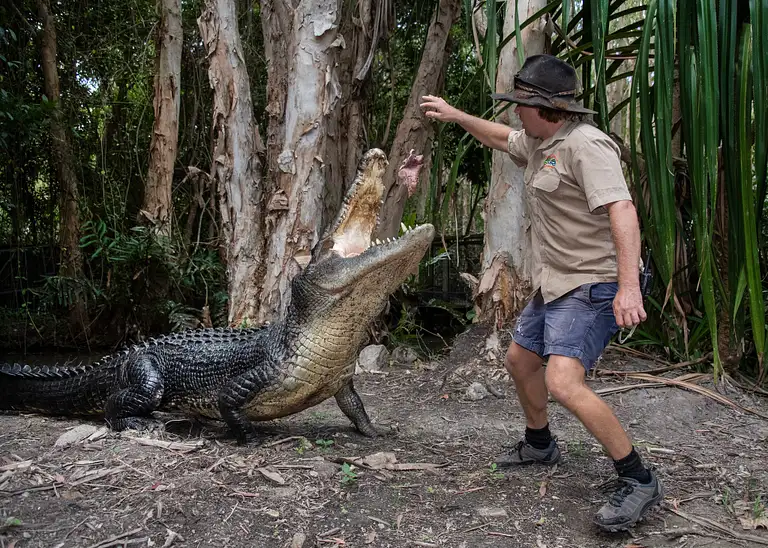 Great Australian Wildlife Experience package Deals