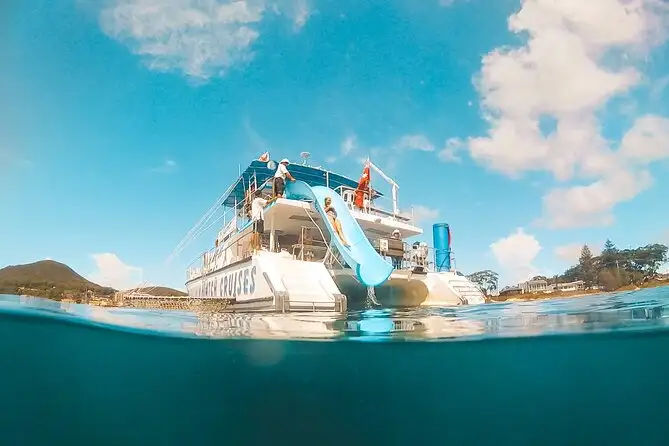 Dolphin watching tours in Nelson Bay