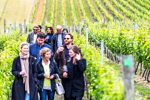 Full Day Hobart Wine Tour