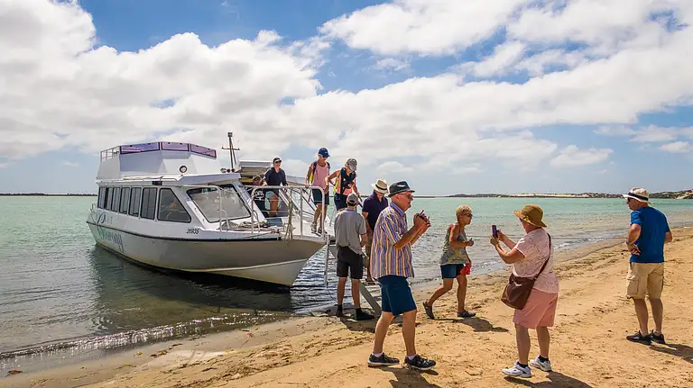 Coorong Cruise Ticket Discount