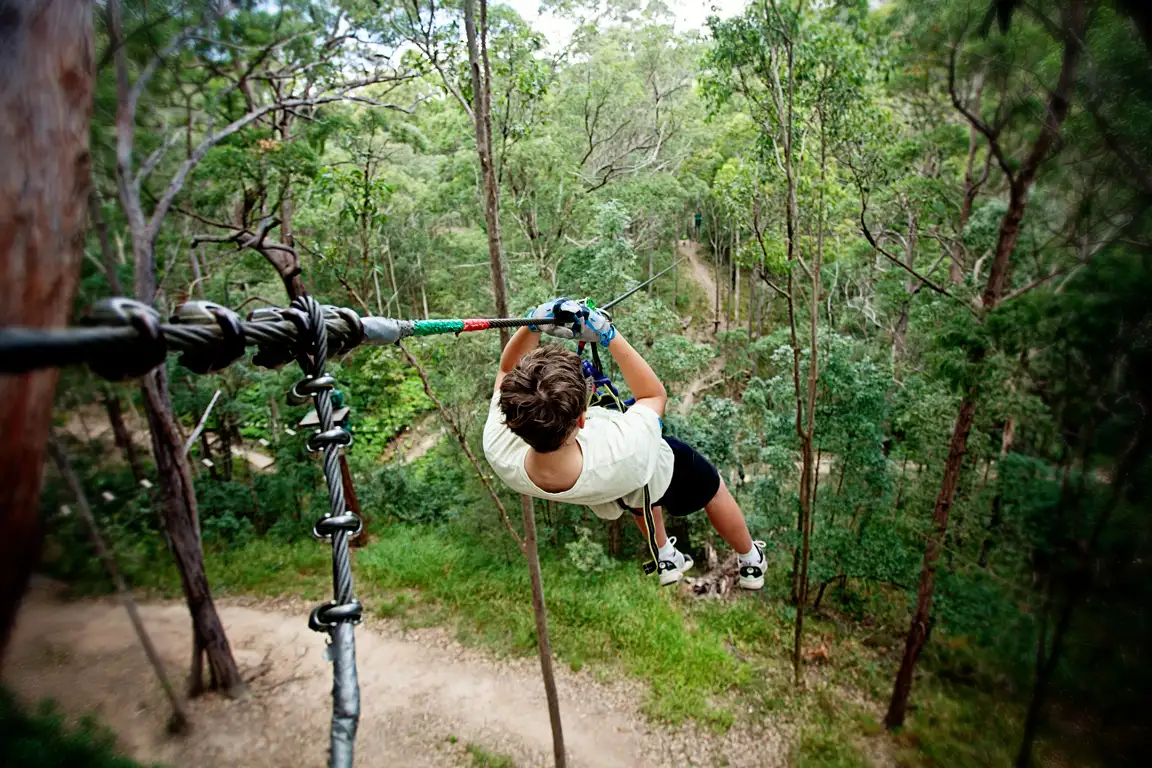 TreeTop Challenge Tamborine Mountain