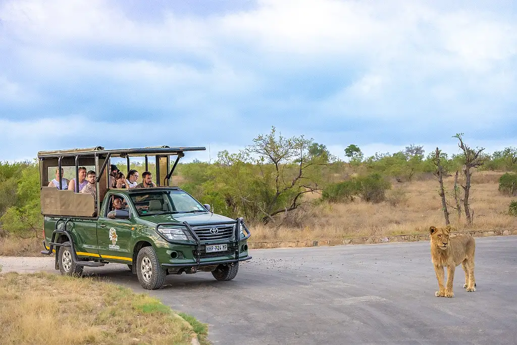 12 day South Africa adventure