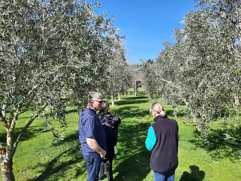 Martinborough food and wine tour deal