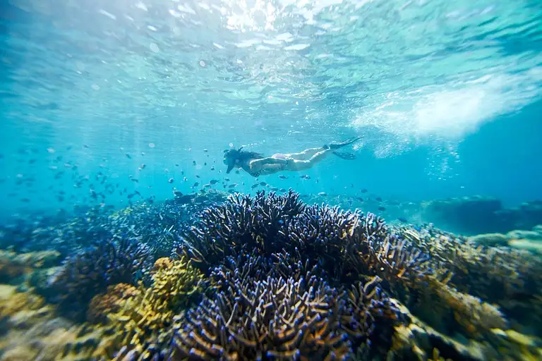Tropical Tempter Fiji 4 Day Island Hopping Adventure
