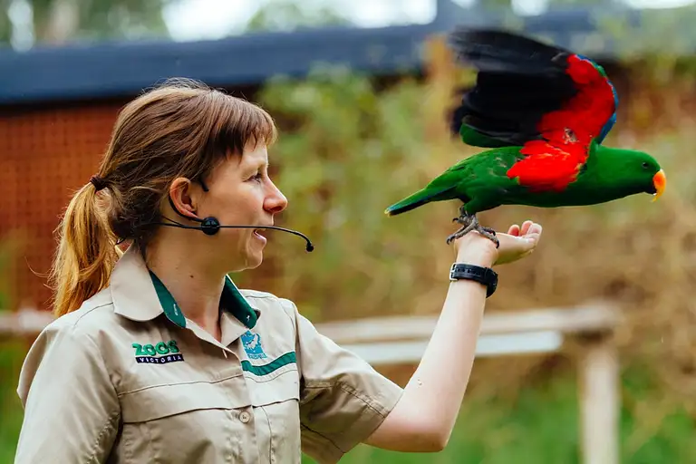 Melbourne to Healesville Wildlife Sanctuary