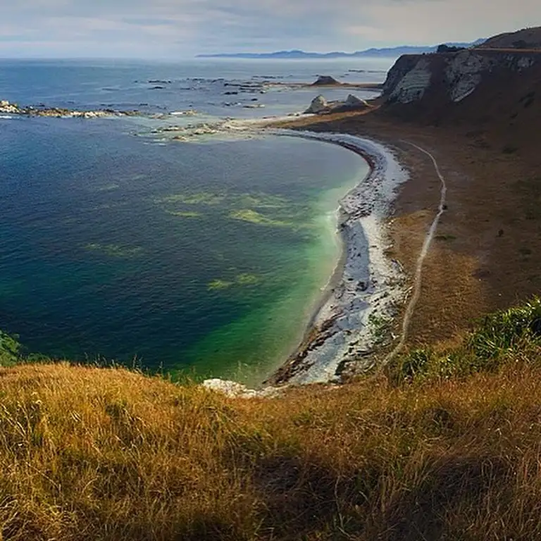 New Zealand bus pass deals