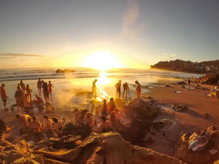 new zealand day tour