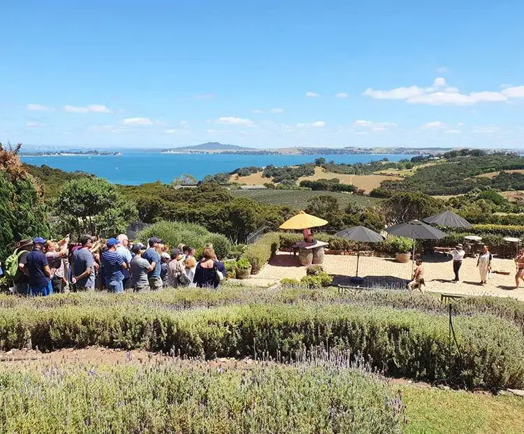 vineyard tour on Waiheke Island