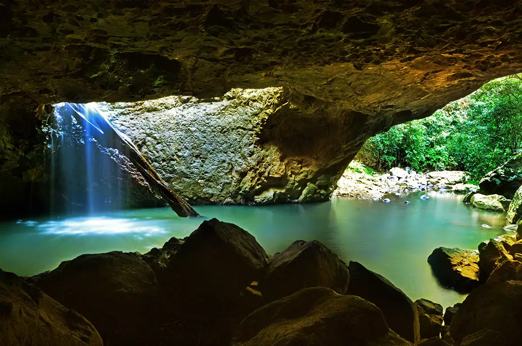 Springbrook & Tamborine Rainforest Tour Deal