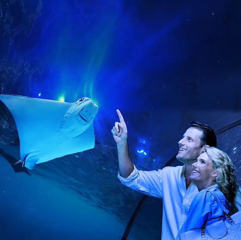 Cairns attractions