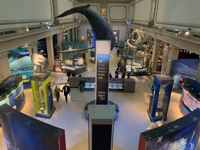 Washington DC Smithsonian National Museum of Natural History tickets and guided tour - Walking tour