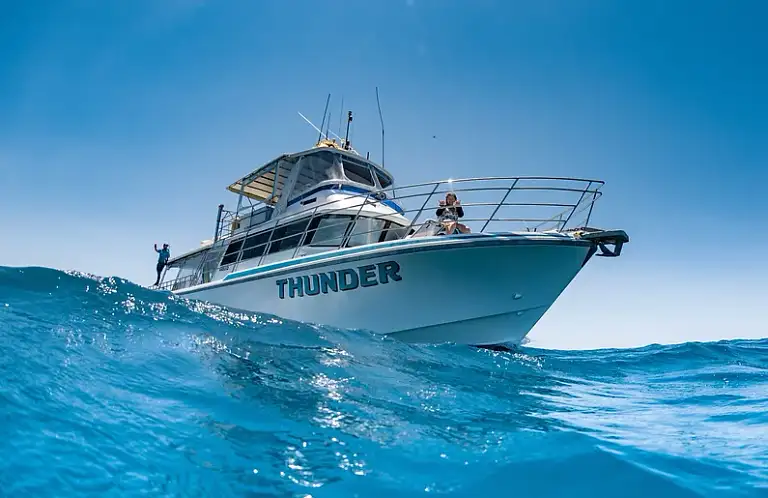 Coral Bay Whale Watching Tour Discount