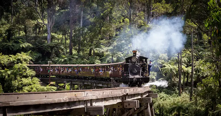 Puffing Billy Steam Train and Little Penguins Experience Victoria