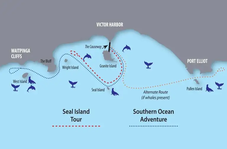 Seal Island Boat Tour