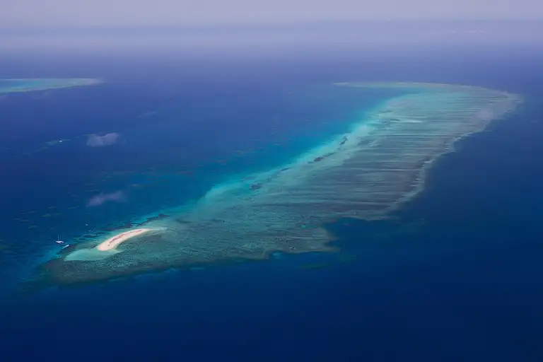 scenic flight best tour