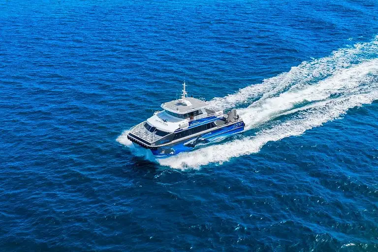 AUGUSTA WHALE WATCHING ECO TOUR DEAL