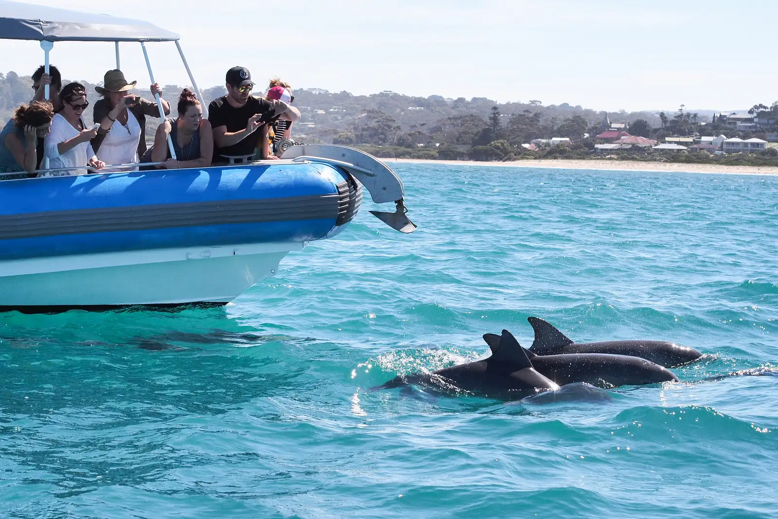 Souther Ocean Adventure Cruise