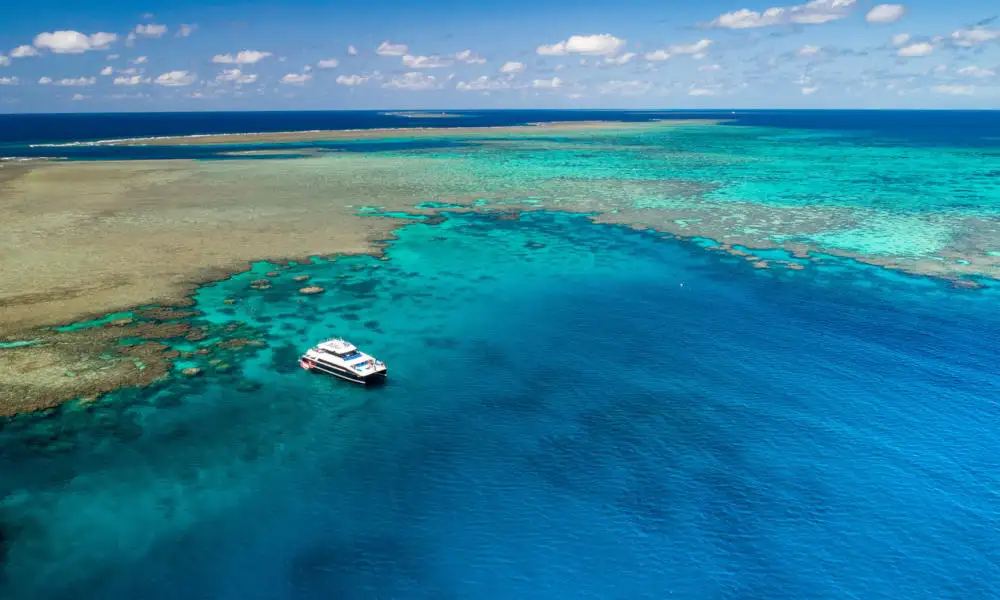 Outer Great Barrier Reef Snorkel Tour