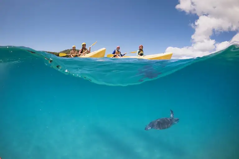 go-sea-kayaking