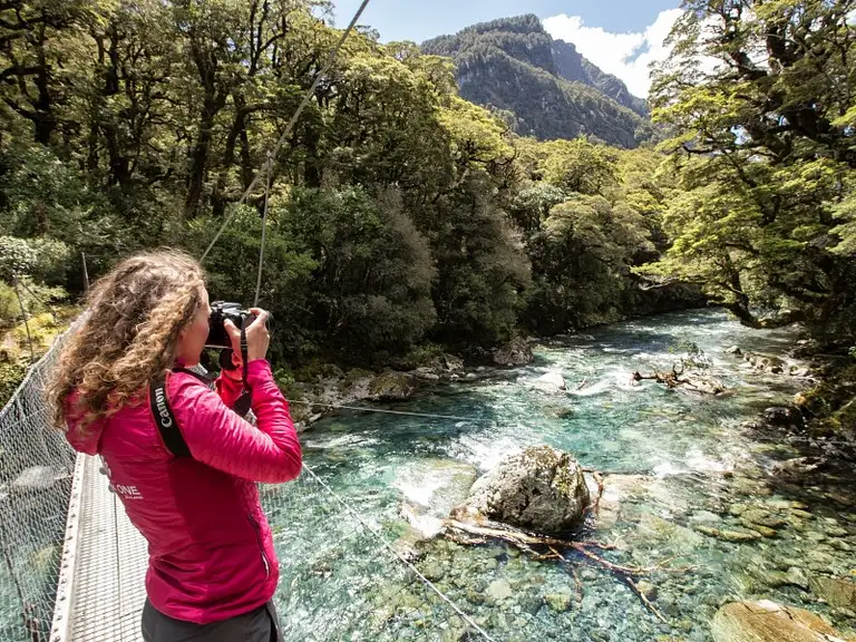 Milford Sound Cruise & Milford Track Walk Cheap