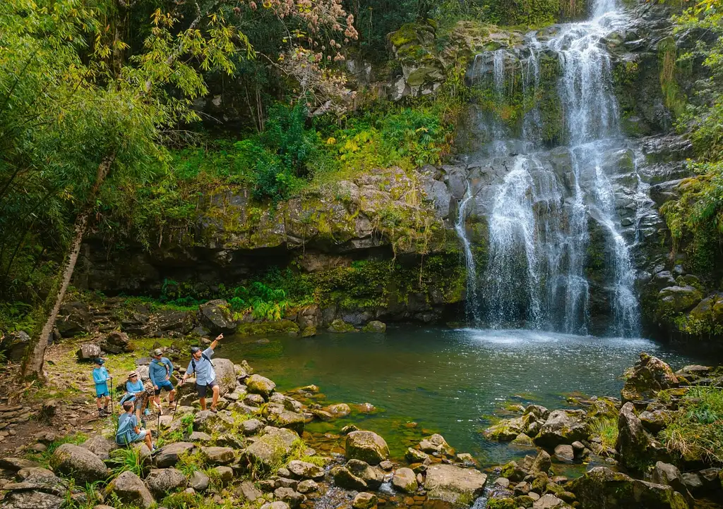 Explore Kohala Waterfalls – Scenic Hiking & Nature Tour