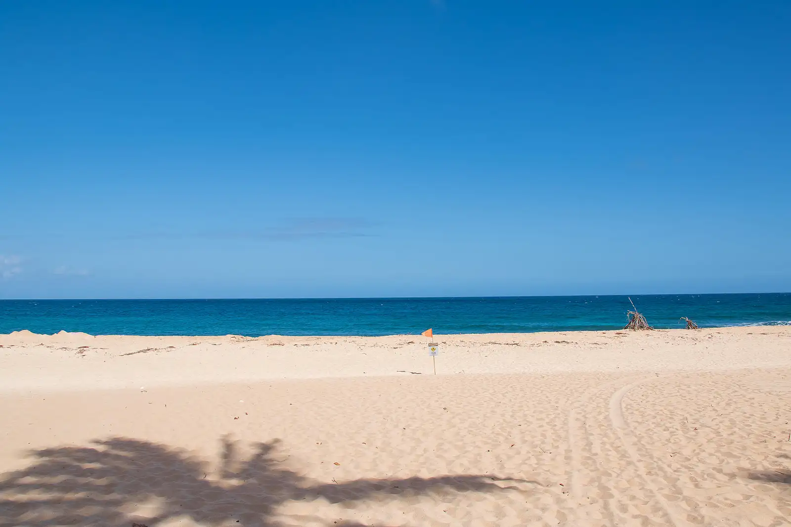 Oahu Sightseeing & Snorkel Tour