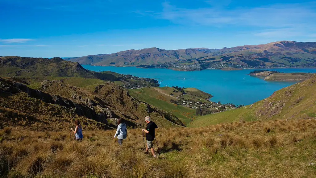 Christchurch Half-Day Guided Crater Rim Walk