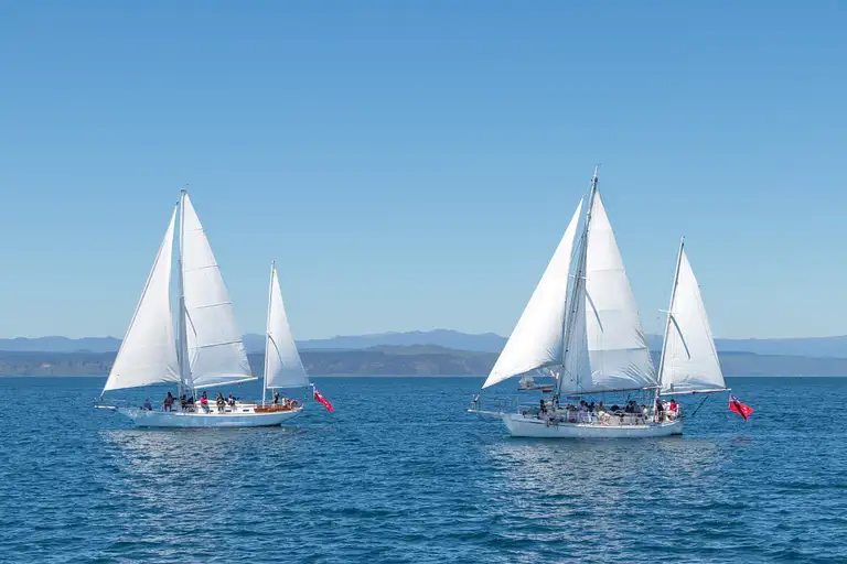 Sail Barbary discounts