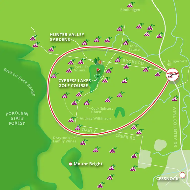 Hunter Valley scenic flight
