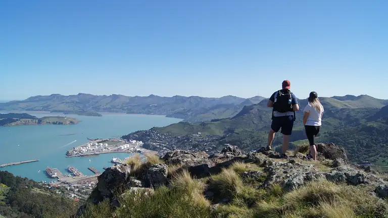 Christchurch Half-Day Guided Crater Rim Walk Deals