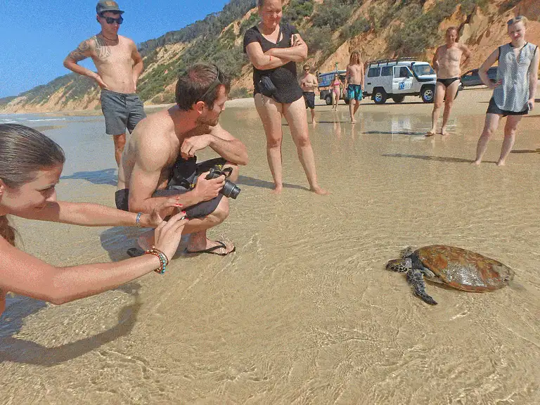 stand up paddle lesson Rainbow beach