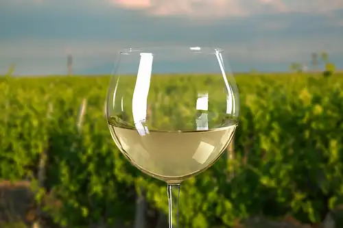 Yarra Valley Winery Private Car Tour with Lunch
