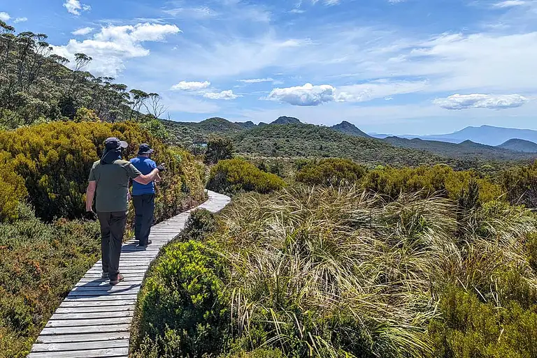 southern tasmania tours