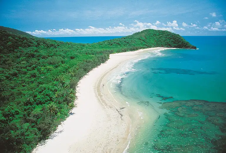 Cape Tribulation, Daintree, Mossman Gorge Day Tour