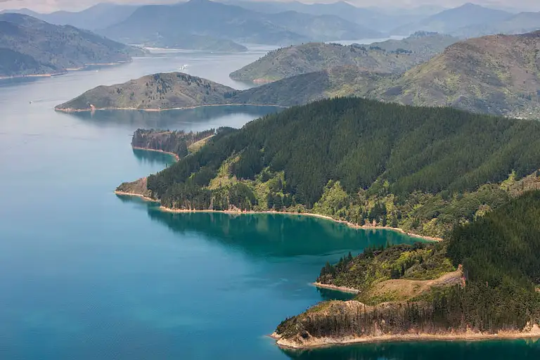 Marlborough Sound Helicopter Tour