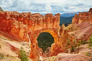 Explore Bryce Canyon on a Scenic Horseback Riding Adventure