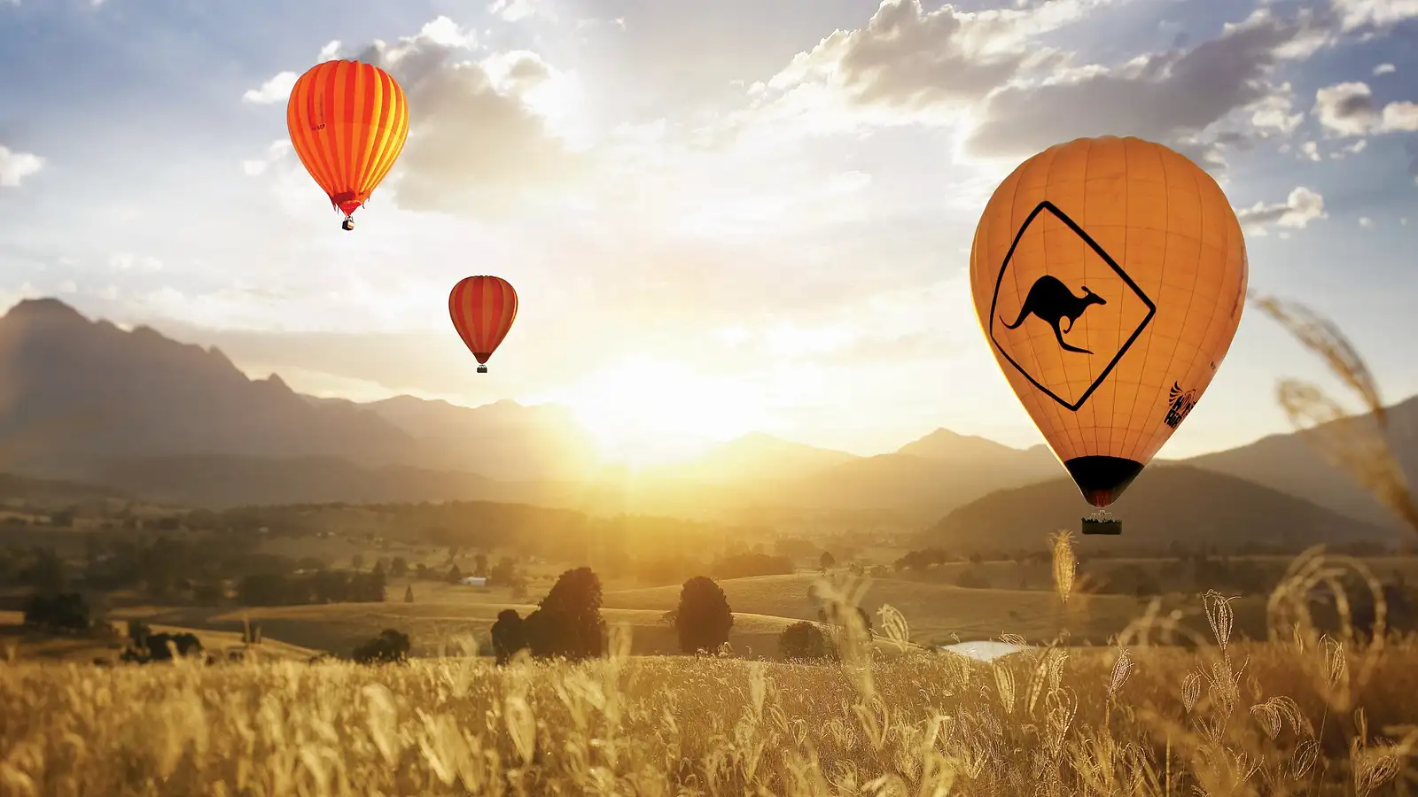 Gold Coast Classic Ballooning & Vineyard Champagne Breakfast