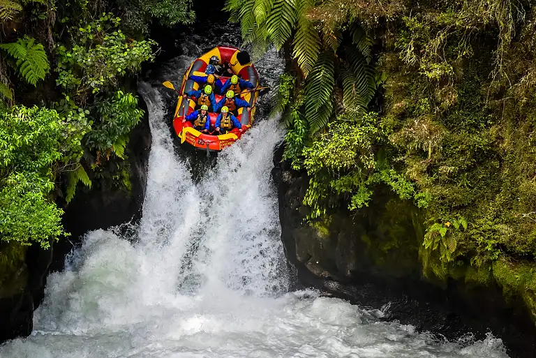 Kaituna New Zealand Waterfall