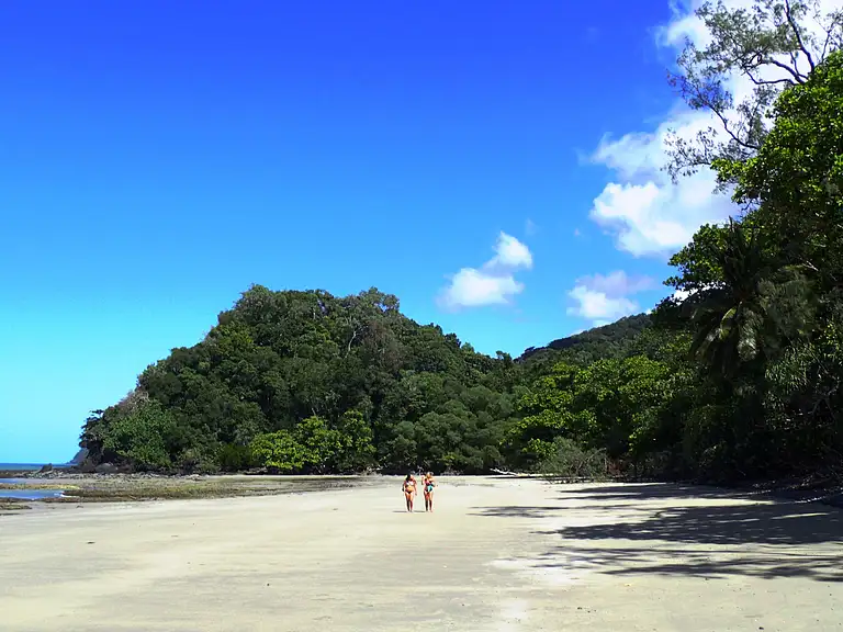 Beach Walks Cape Tribulation