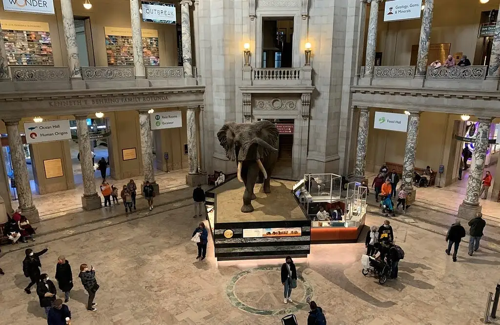 Smithsonian Natural History Museum Private Family Tour in Washington DC